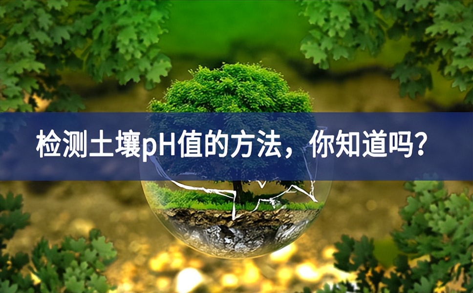 檢測土壤pH值的方法，你知道嗎？