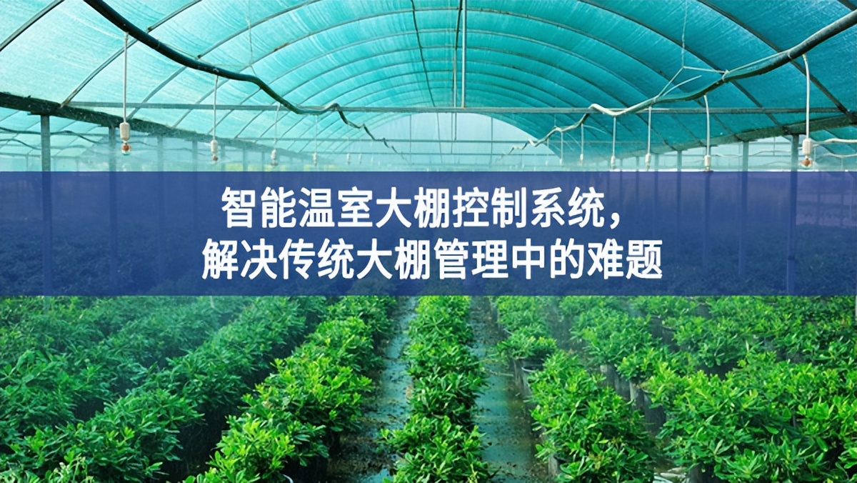 智能溫室大棚控制系統(tǒng)，解決傳統(tǒng)大棚管理中的難題