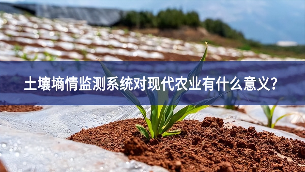 土壤墑情監(jiān)測系統(tǒng)對現(xiàn)代農(nóng)業(yè)有什么意義？