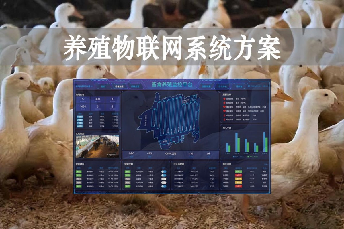 【智慧養(yǎng)殖】數(shù)字經(jīng)濟時代到來，養(yǎng)殖物聯(lián)網(wǎng)系統(tǒng)方案來了