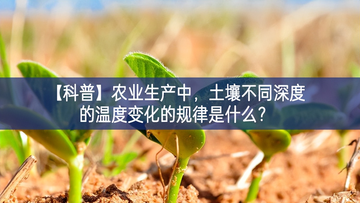 【科普】農(nóng)業(yè)生產(chǎn)中，土壤不同深度的溫度變化的規(guī)律是什么？