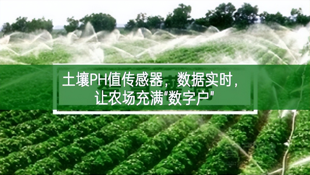 土壤PH值傳感器，數(shù)據(jù)實(shí)時(shí)，讓農(nóng)場充滿"數(shù)字戶"