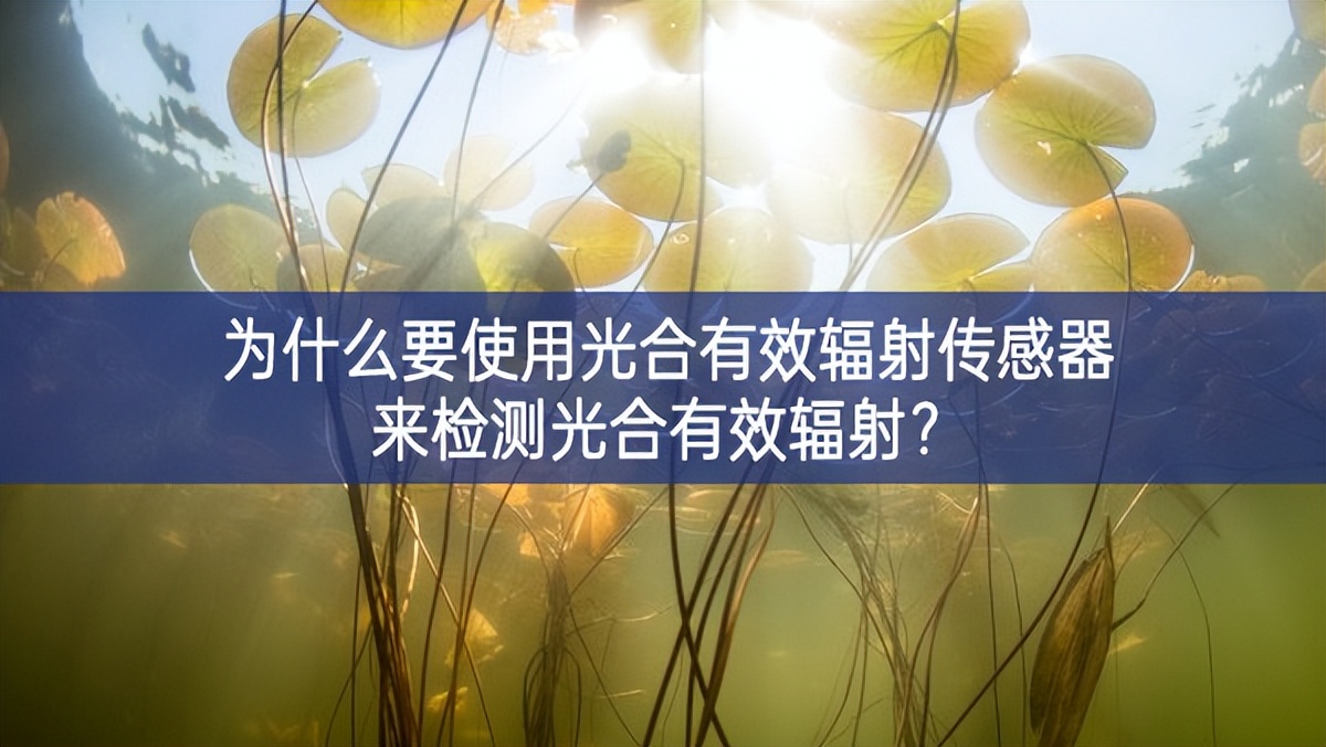 為什么要使用光合有效輻射傳感器來(lái)檢測(cè)光合有效輻射？