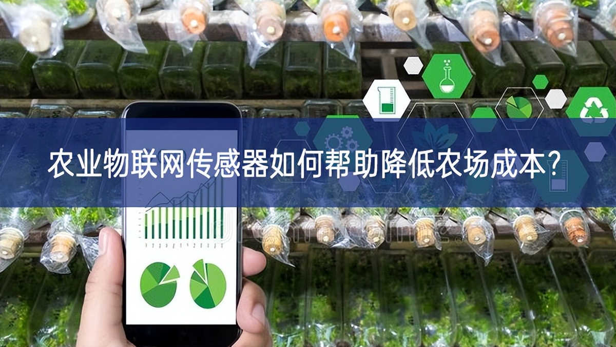 農(nóng)業(yè)物聯(lián)網(wǎng)傳感器如何幫助降低農(nóng)場成本？