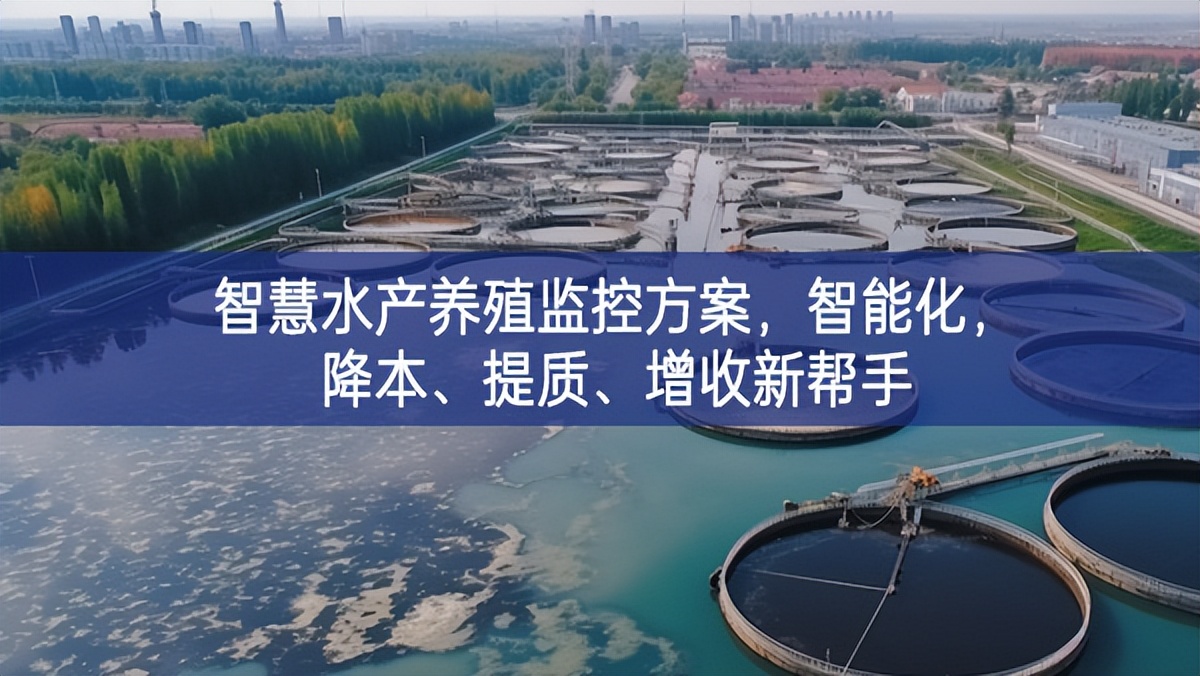 智慧水產(chǎn)養(yǎng)殖監(jiān)控方案，智能化，降本、提質(zhì)、增收新幫手