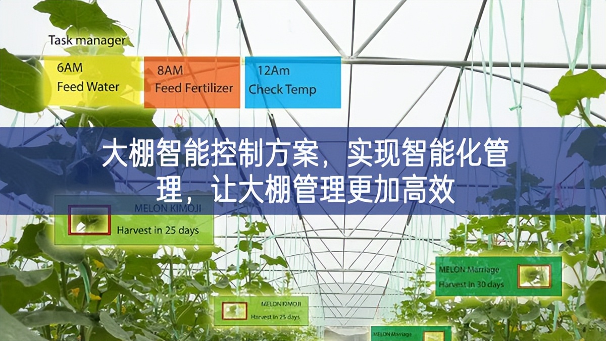 大棚智能控制方案，實現(xiàn)智能化管理，讓大棚管理更加高效