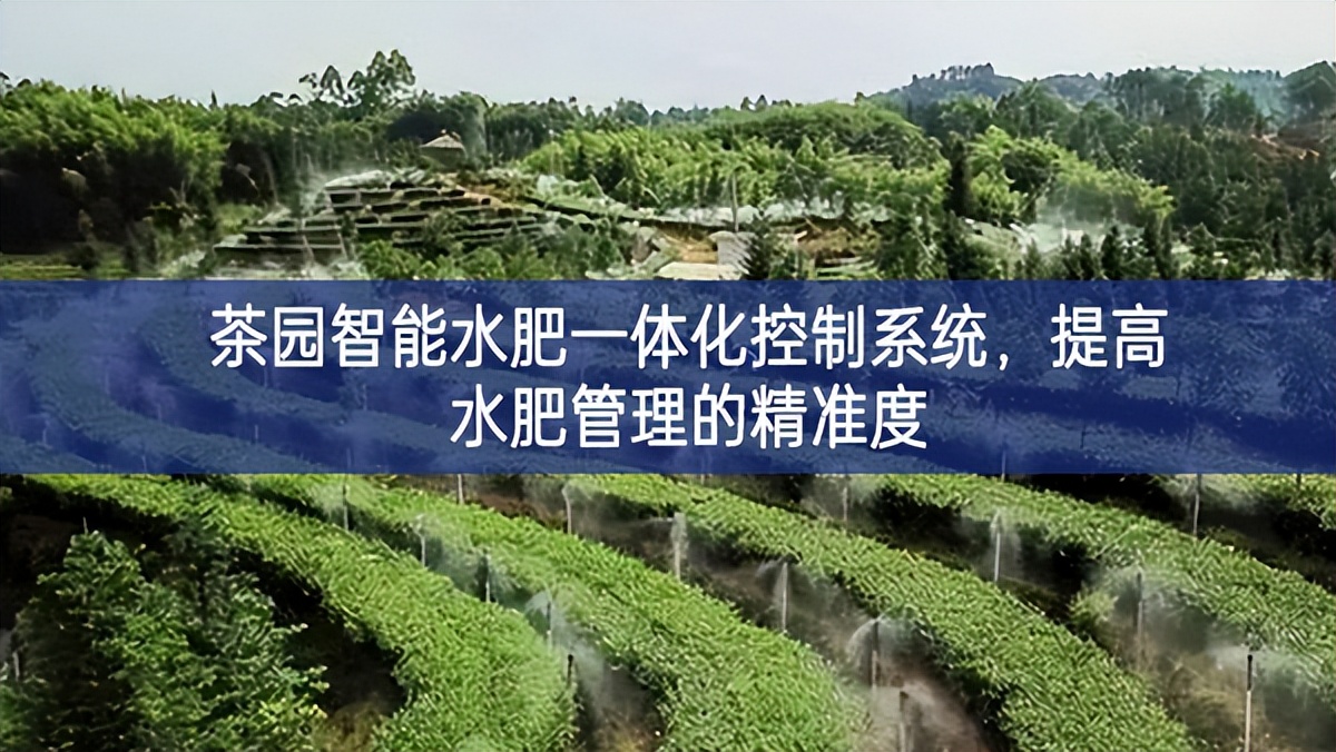 茶園智能水肥一體化控制系統(tǒng)，提高水肥管理的精準(zhǔn)度