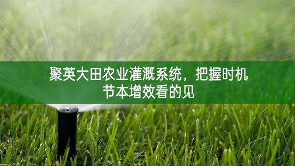 聚英大田農(nóng)業(yè)灌溉系統(tǒng)，把握時機(jī)節(jié)本增效看的見