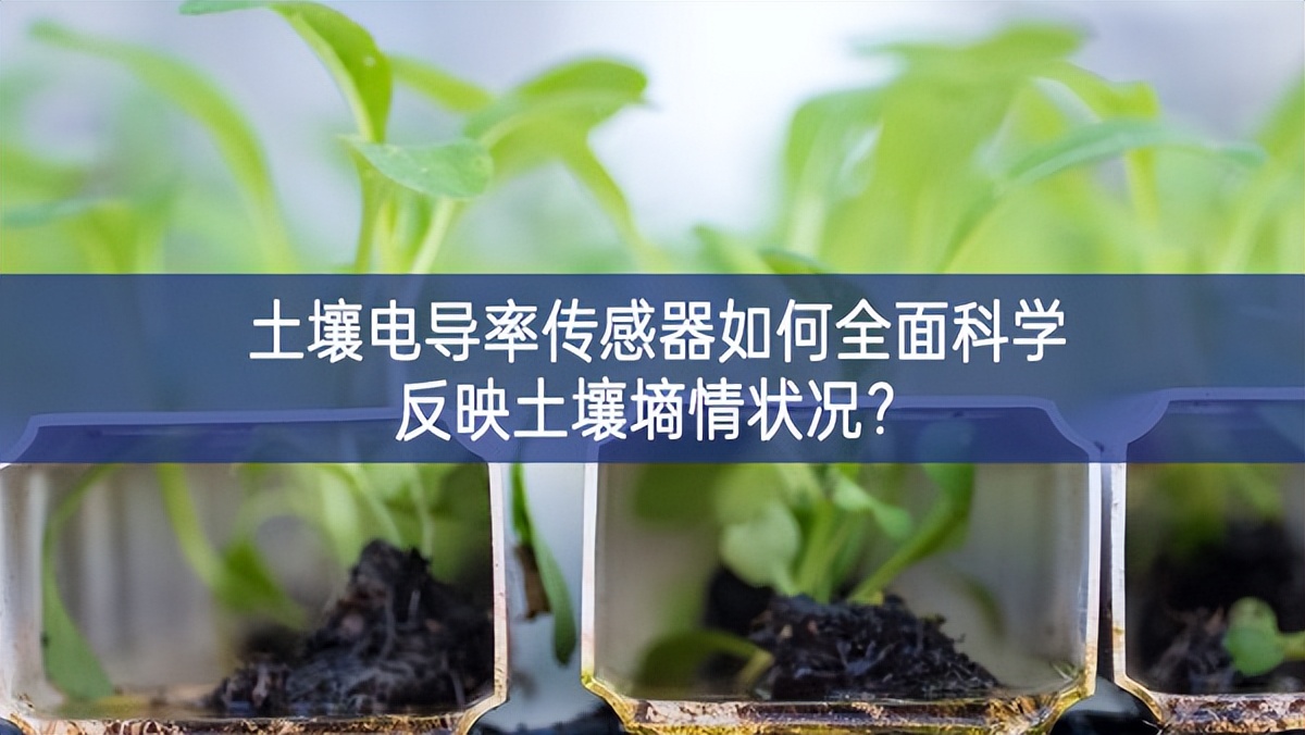 土壤電導(dǎo)率傳感器如何全面科學(xué)反映土壤墑情狀況？