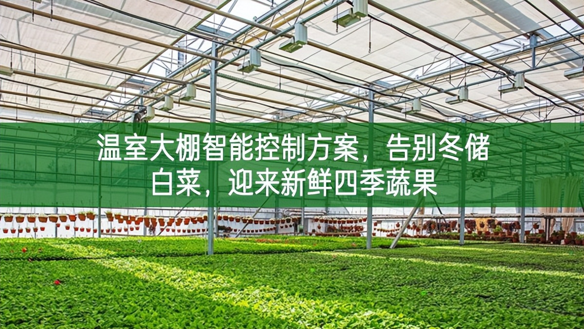 溫室大棚智能控制方案，告別冬儲(chǔ)白菜，迎來(lái)新鮮四季蔬果