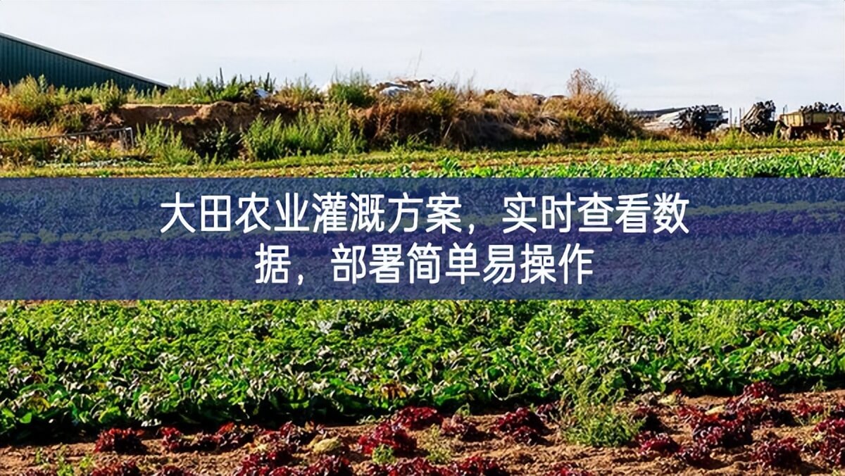 大田農(nóng)業(yè)灌溉方案，實(shí)時(shí)查看數(shù)據(jù)，部署簡單易操作
