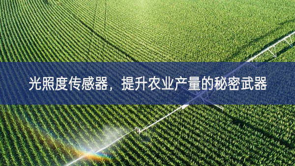 光照度傳感器，提升農(nóng)業(yè)產(chǎn)量的秘密武器