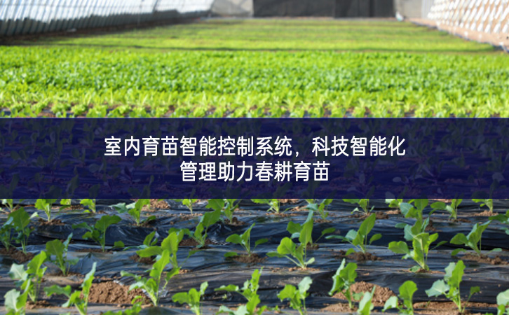 室內(nèi)育苗智能控制系統(tǒng)，科技智能化管理助力春耕育苗