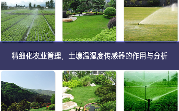 精細(xì)化農(nóng)業(yè)管理，土壤溫濕度傳感器的作用與分析