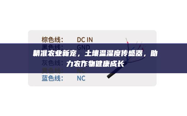精準(zhǔn)農(nóng)業(yè)新寵，土壤溫濕度傳感器，助力農(nóng)作物健康成長