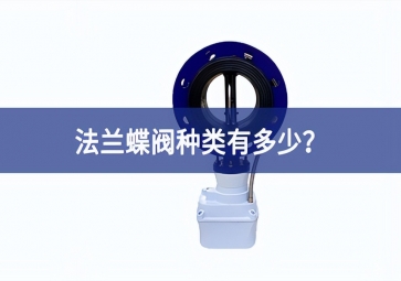 法蘭蝶閥種類有多少？