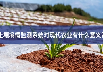 土壤墑情監(jiān)測(cè)系統(tǒng)對(duì)現(xiàn)代農(nóng)業(yè)有什么意義？