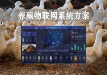 「智慧養(yǎng)殖」數(shù)字經(jīng)濟(jì)時(shí)代到來(lái)，養(yǎng)殖物聯(lián)網(wǎng)系統(tǒng)方案來(lái)了