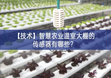 「技術(shù)」智慧農(nóng)業(yè)溫室大棚的傳感器有哪些？