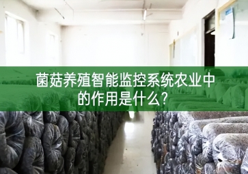 「智慧養(yǎng)殖」菌菇養(yǎng)殖智能監(jiān)控系統(tǒng)在農(nóng)業(yè)中的作用是什么？
