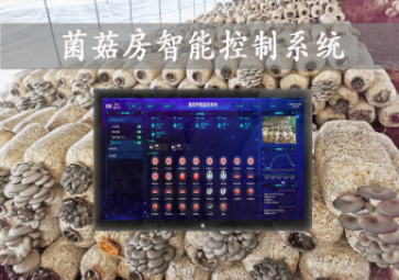 「智慧養(yǎng)殖」菌菇房智能控制系統(tǒng)，智能控溫，助力大棚食用菌種植