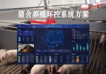 「智慧養(yǎng)殖」豬舍養(yǎng)殖環(huán)控系統(tǒng)方案，獲取環(huán)境參數(shù)，數(shù)字化畜牧業(yè)