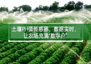 土壤PH值傳感器，數(shù)據(jù)實時，讓農(nóng)場充滿"數(shù)字戶"