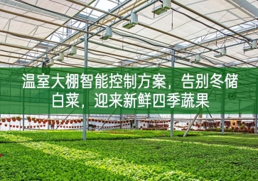 「智慧農(nóng)業(yè)」溫室大棚智能控制方案，告別冬儲白菜，迎來新鮮四季蔬果