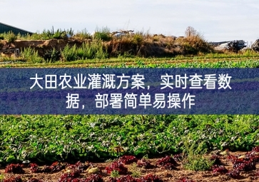 「智慧農(nóng)業(yè)」大田農(nóng)業(yè)灌溉方案，實(shí)時(shí)查看數(shù)據(jù)，部署簡(jiǎn)單易操作