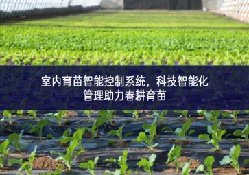 室內(nèi)育苗智能控制系統(tǒng)，科技智能化管理助力春耕育苗