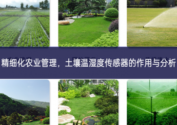 精細(xì)化農(nóng)業(yè)管理，土壤溫濕度傳感器的作用與分析