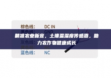 精準(zhǔn)農(nóng)業(yè)新寵，土壤溫濕度傳感器，助力農(nóng)作物健康成長(zhǎng)